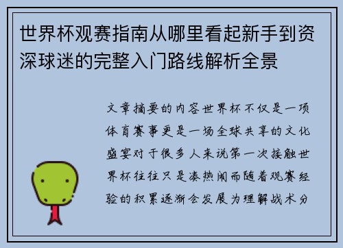 世界杯观赛指南从哪里看起新手到资深球迷的完整入门路线解析全景